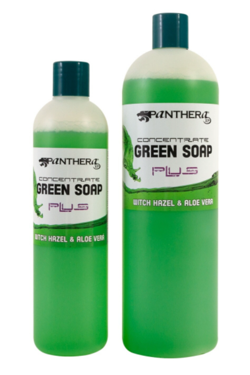 Grüne Seife Konzentrat, Zaubernuss & Aloe Vera
